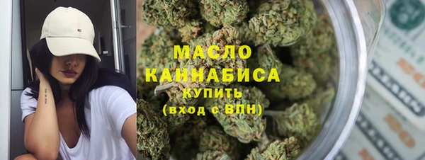 молекула духа Новодвинск