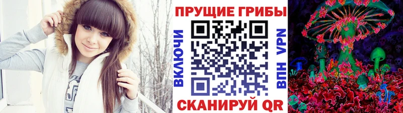 Галлюциногенные грибы ЛСД  купить   Дубовка 